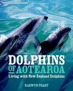Dolphins Of Aotearoa Nzmumsreview